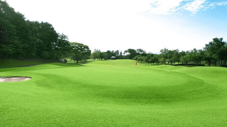 PGM Tomioka CC North - Blue: #7