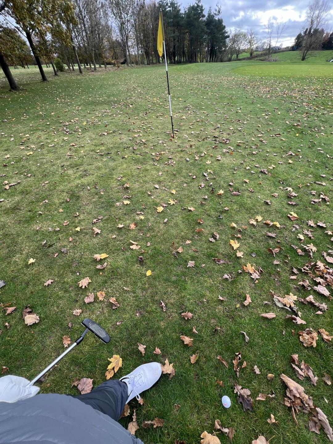 (Photo submitted by u314164712475 on 12/04/2023)