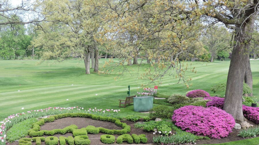 Stone Oak CC