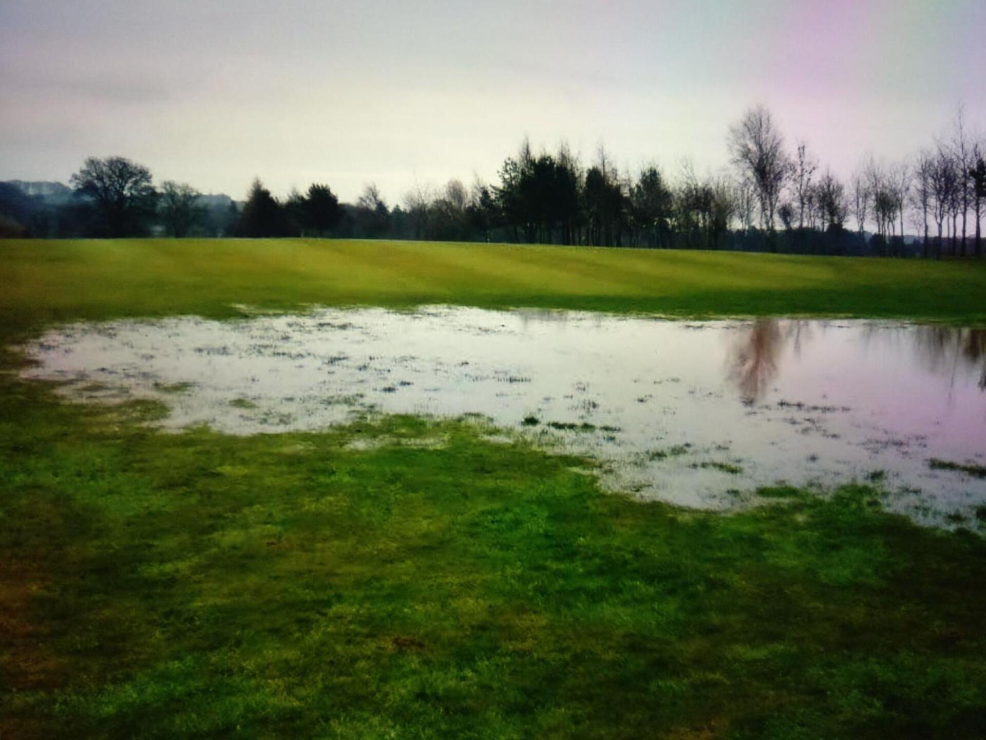 (Photo submitted by u343744820 on 12/11/2020)