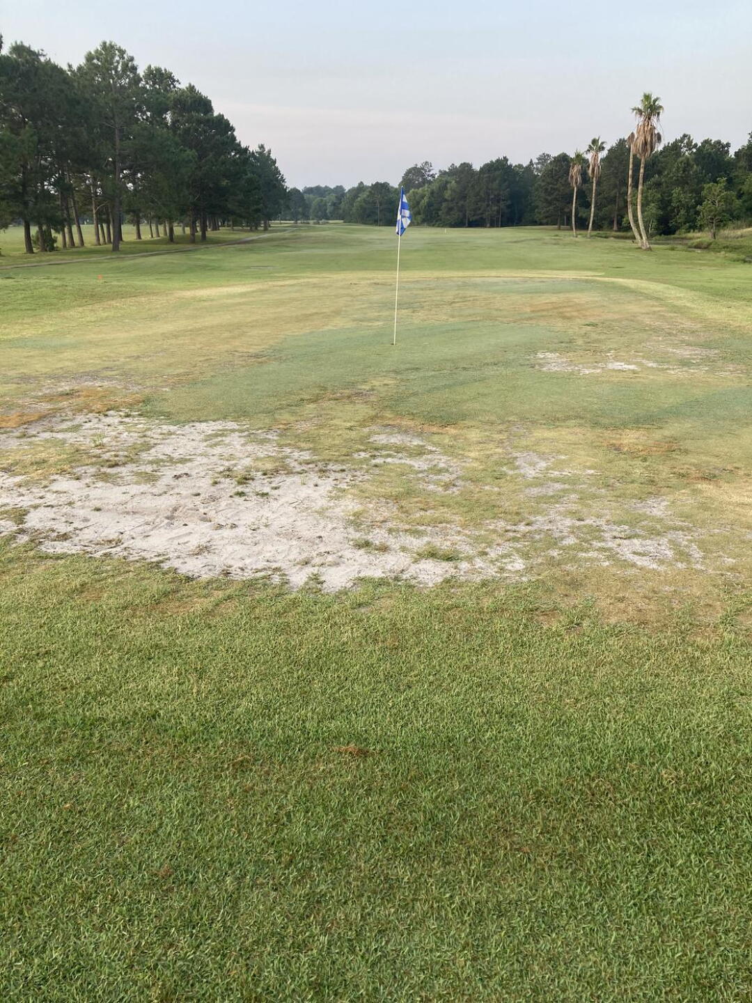 One green! (Photo submitted by u000005348363 on 05/27/2023)