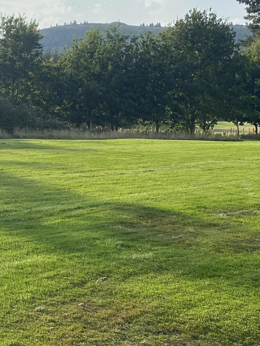 (Photo submitted by Timroycollins on 08/15/2025)