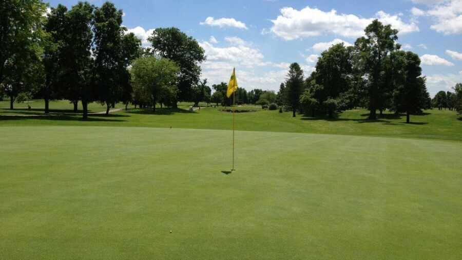 Championship at Elmwood GC: #12