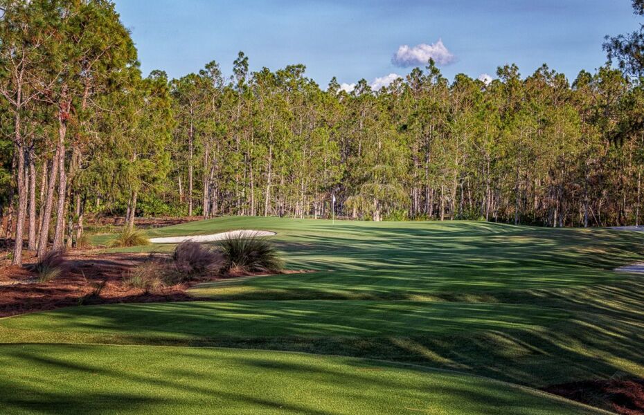 Tiburón Golf Club The Black Course in Naples, Florida, USA GolfPass
