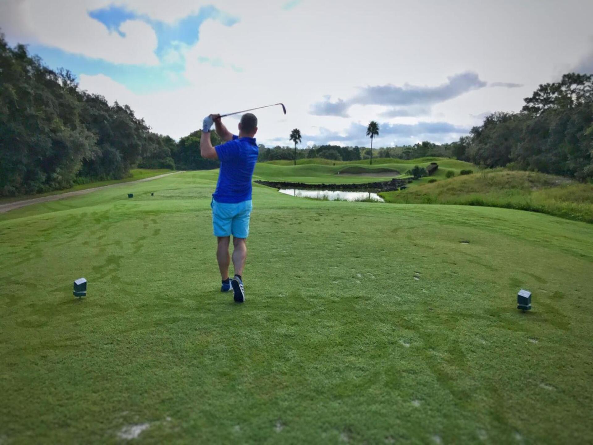 (Photo submitted by Sanderv on 09/07/2017)