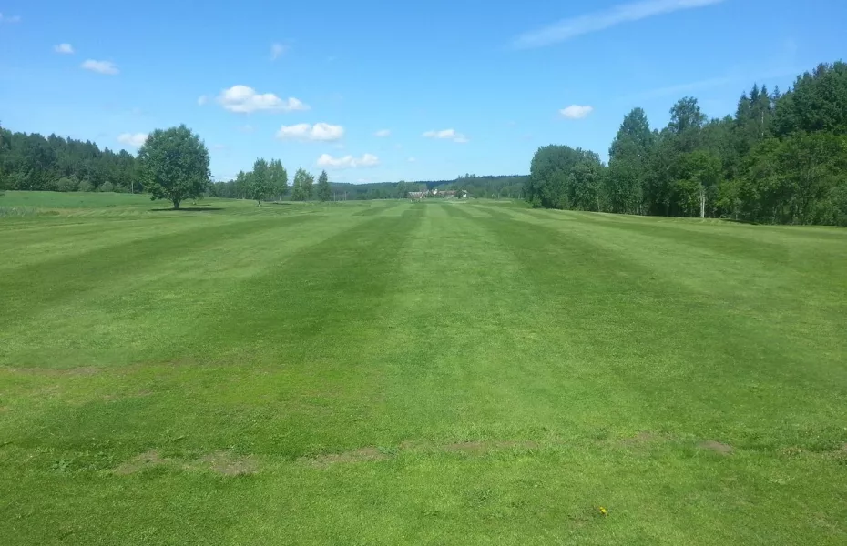 Hedemora GC