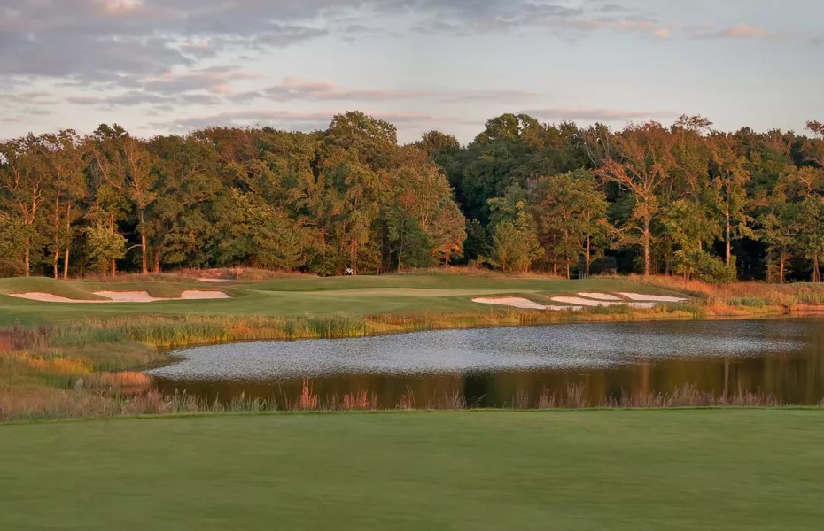 Black Bear at Bear Trap Dunes: #3