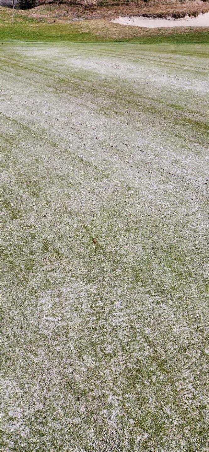 greens (Photo submitted by fagolf on 01/17/2026)