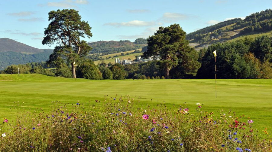 Blair Atholl GC: green
