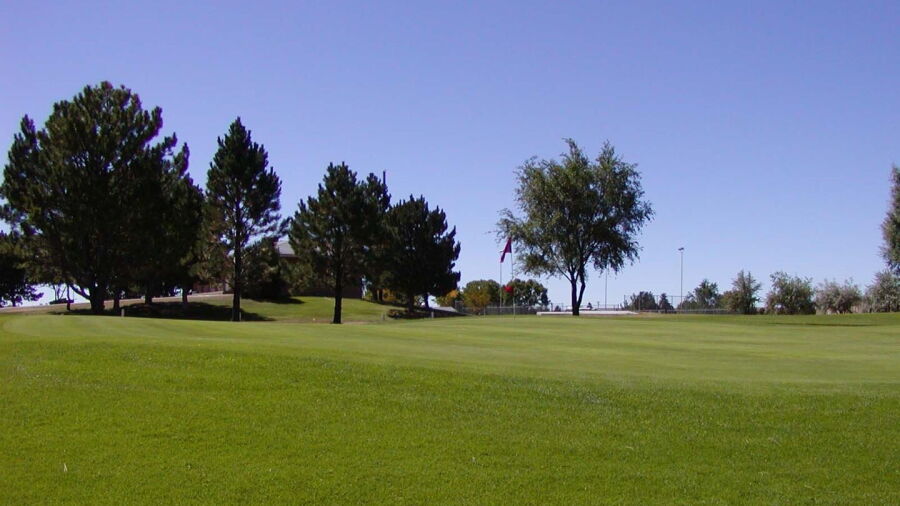 Tamarack GC