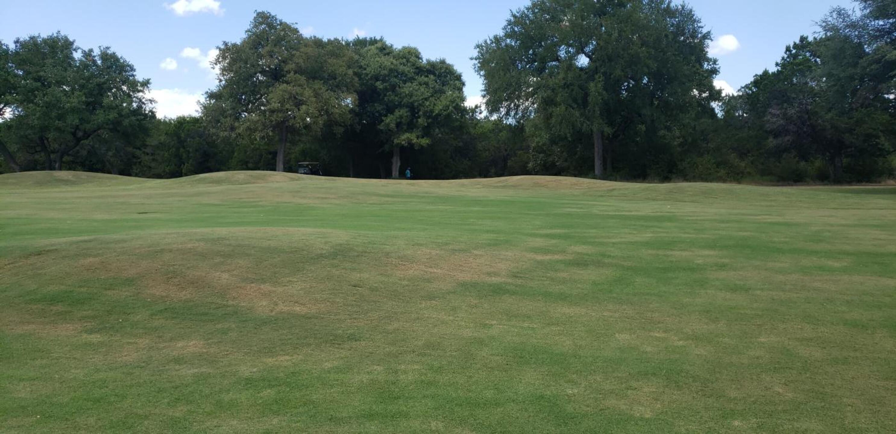 (Photo submitted by freshgarbage on 09/08/2019)