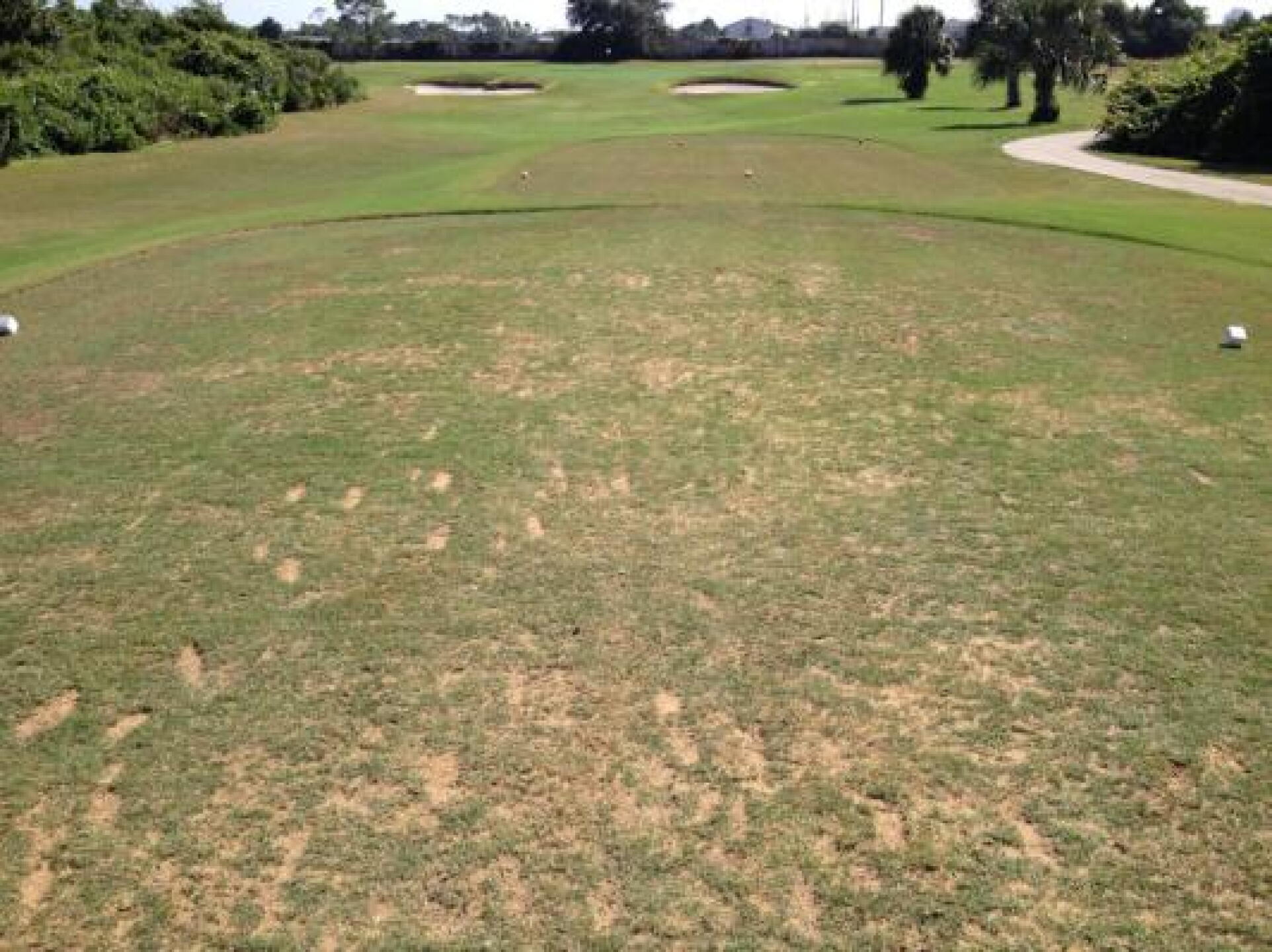 Typical Tee Box (Photo submitted by Outbreak on 09/20/2013)