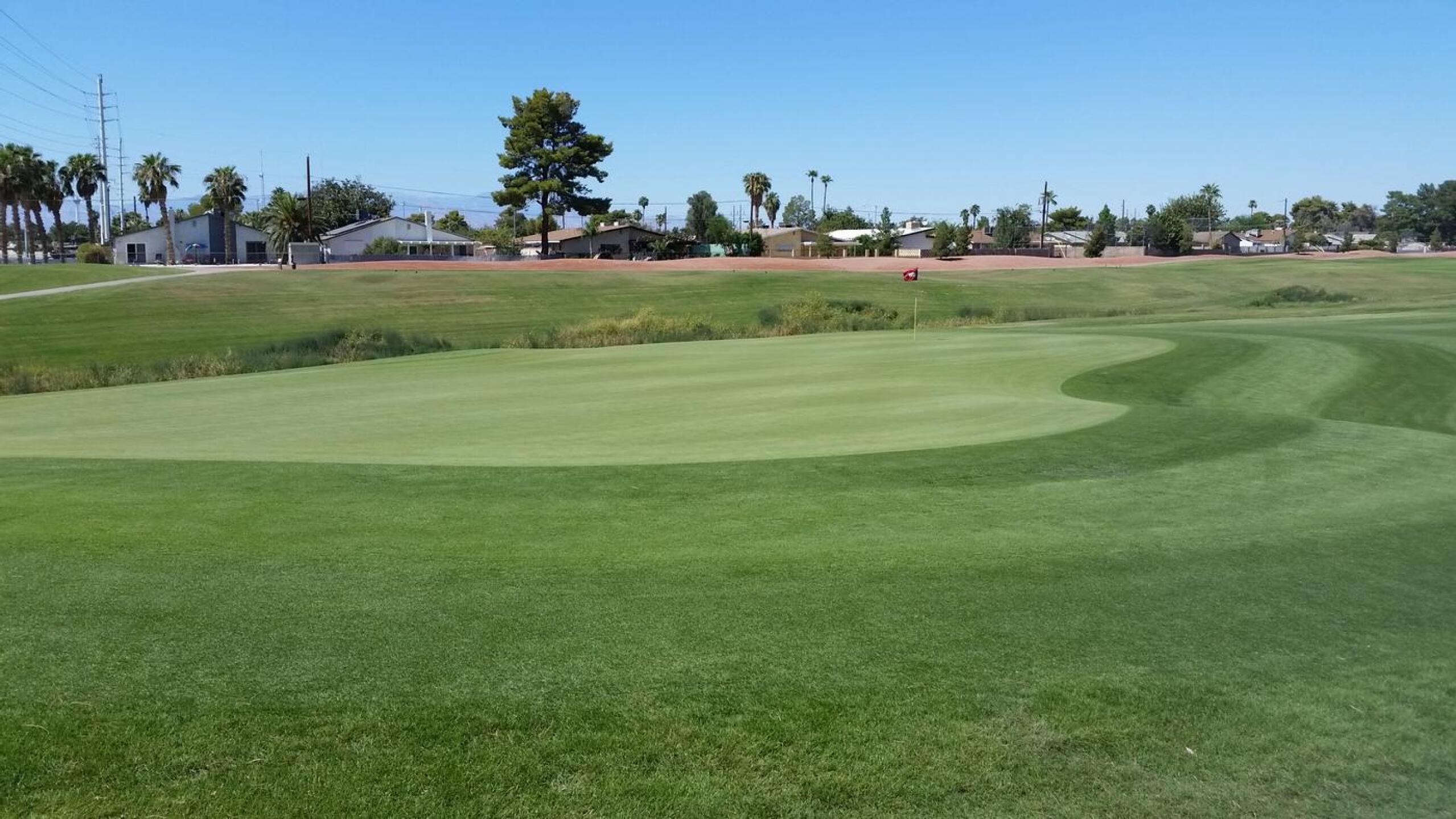 Best Greens Year Round (Photo submitted by golfreviewvegas on 12/20/2020)