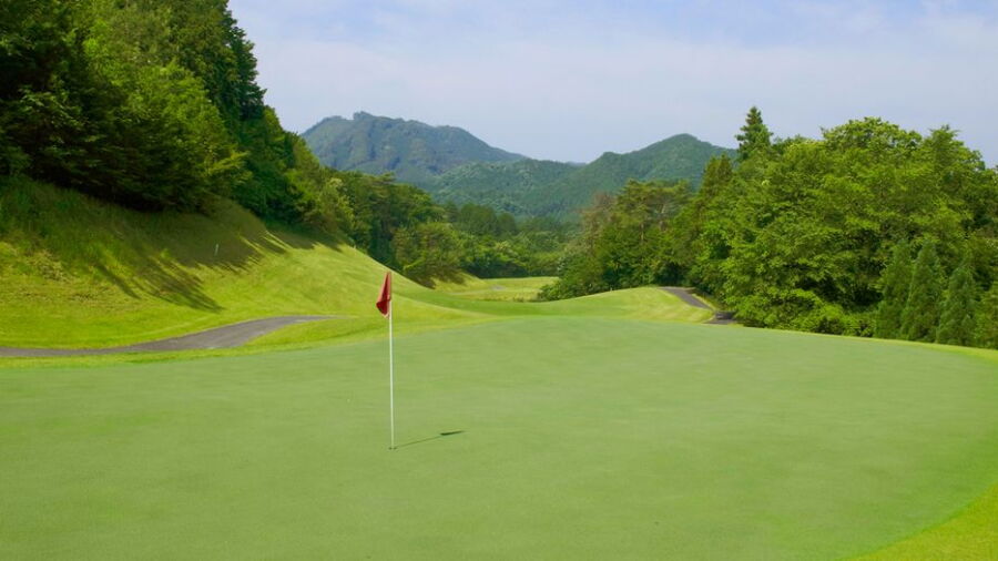 Tommy Hills GC Kanuma