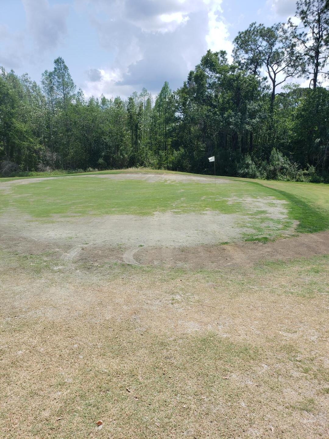 One green but all were pretty much the same. Horrible (Photo submitted by rrhodes15 on 04/16/2023)