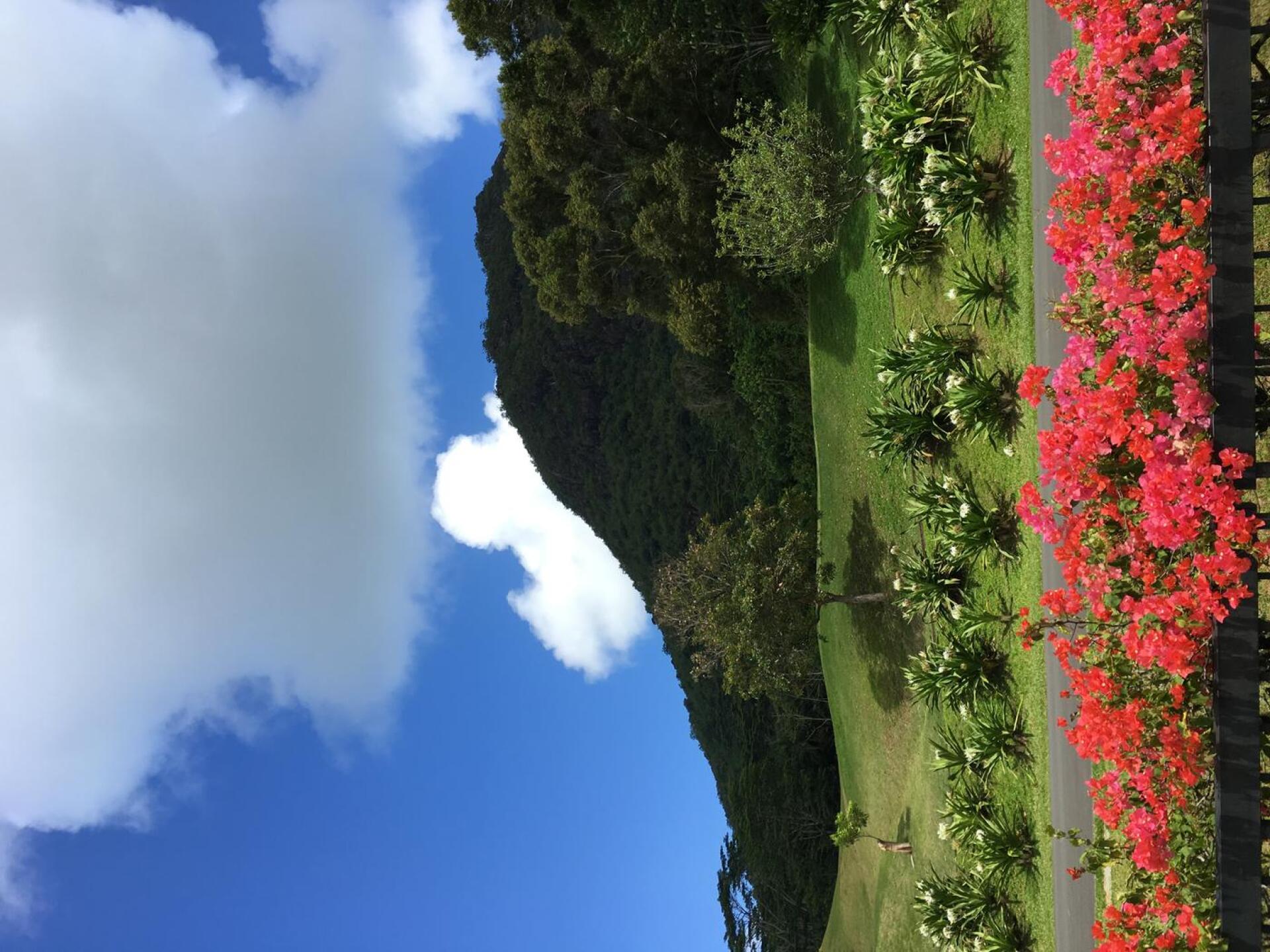 (Photo submitted by xkyleclark3 on 04/09/2017)