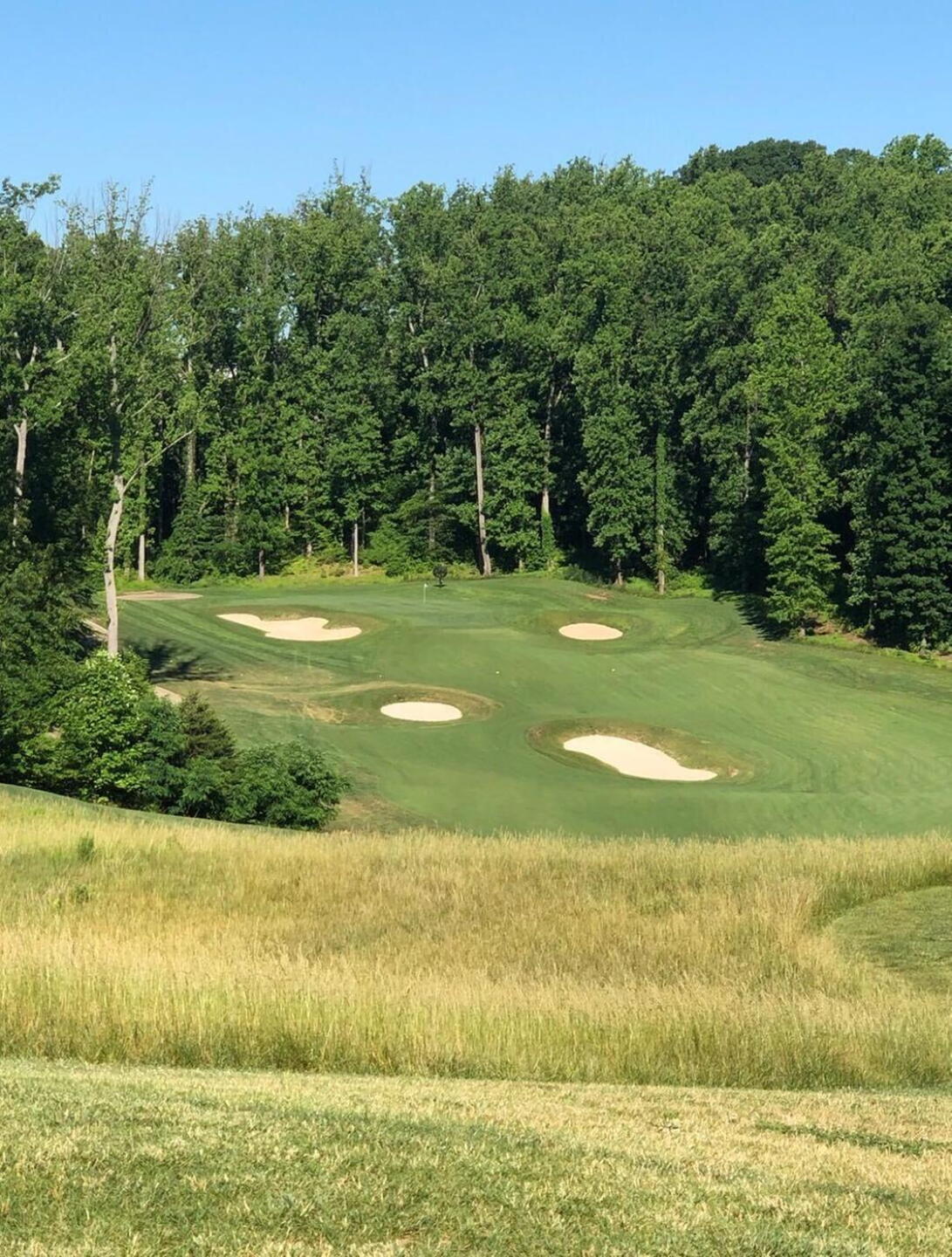 Hole 7. Notice the changes made from the intial press pics. (Photo submitted by gregthegolfer606 on 06/09/2020)