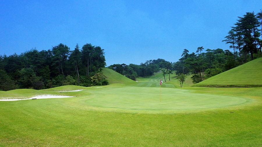 Pinetree GC: #14