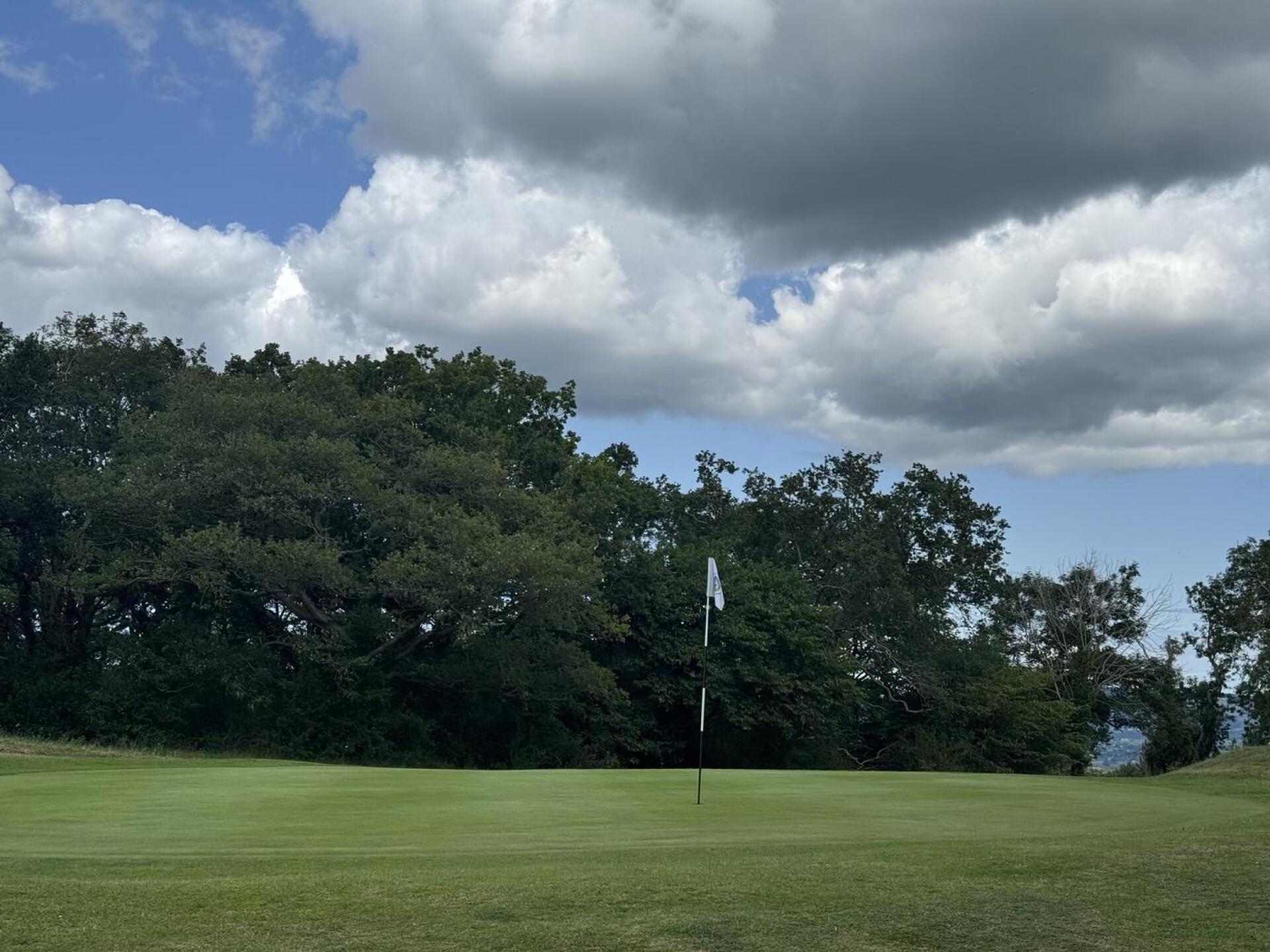 (Photo submitted by PWD1972 on 07/03/2025)