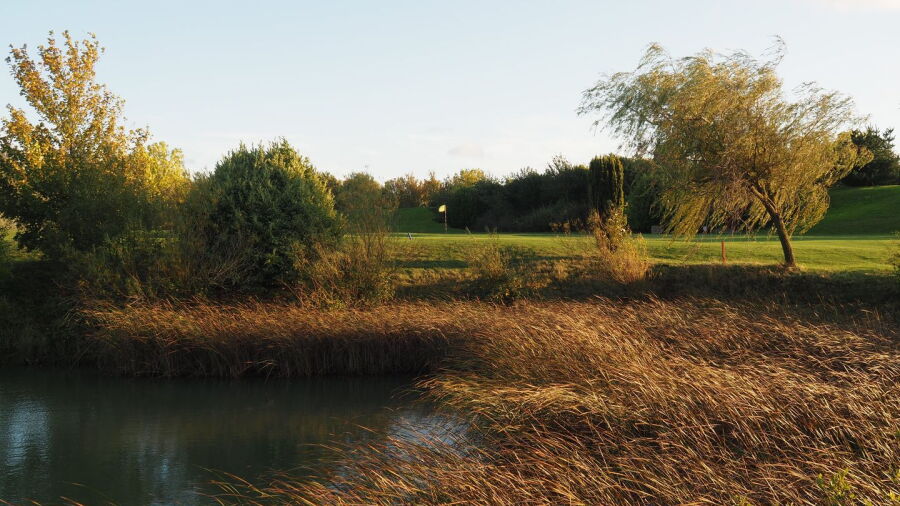Colmworth & North Beds GC: #9