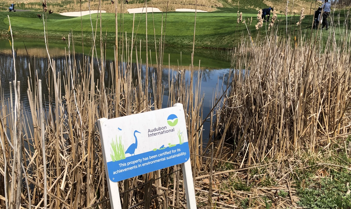 Bethpage Black - 8th hole 