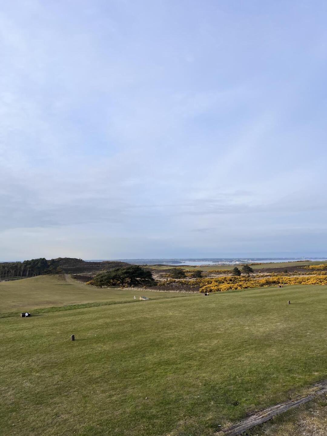 (Photo submitted by u314163713318 on 04/27/2025)