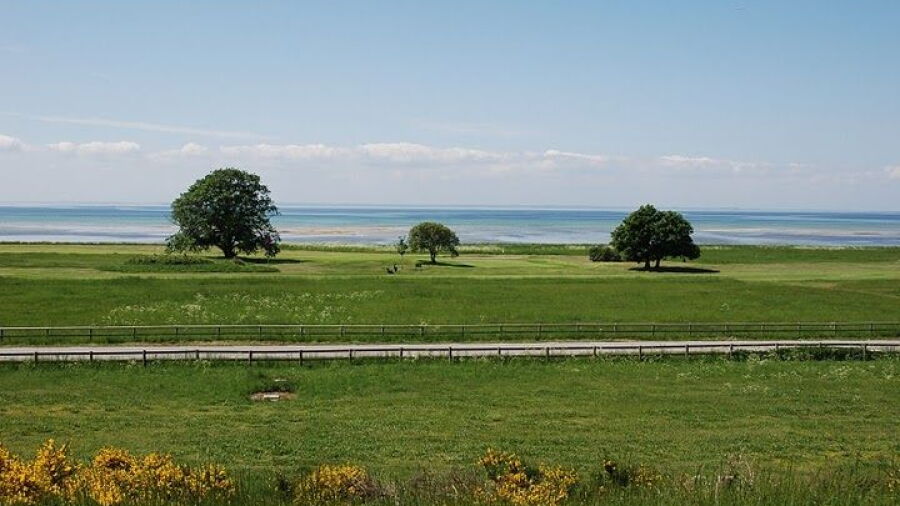 Barseback GCC - Litorina