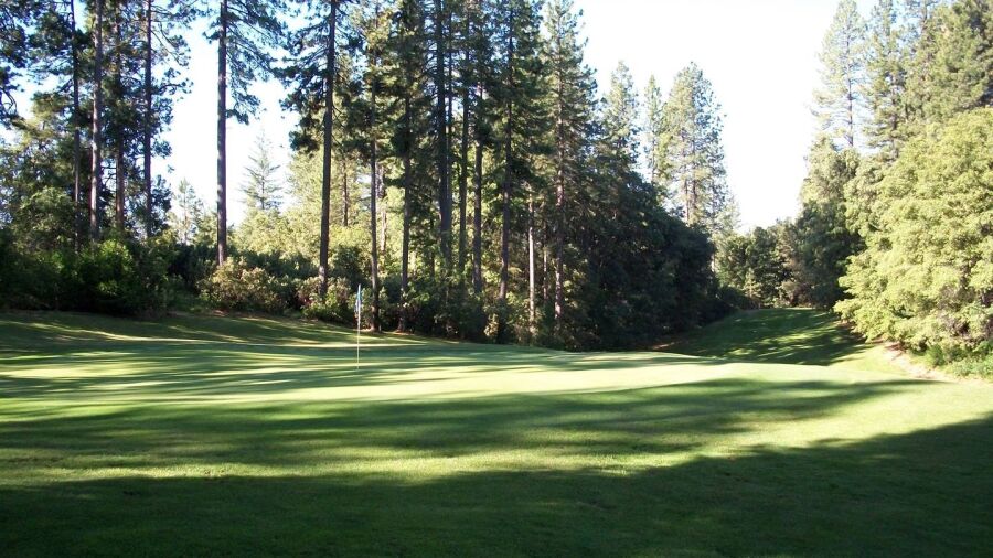 Forest Meadows GC