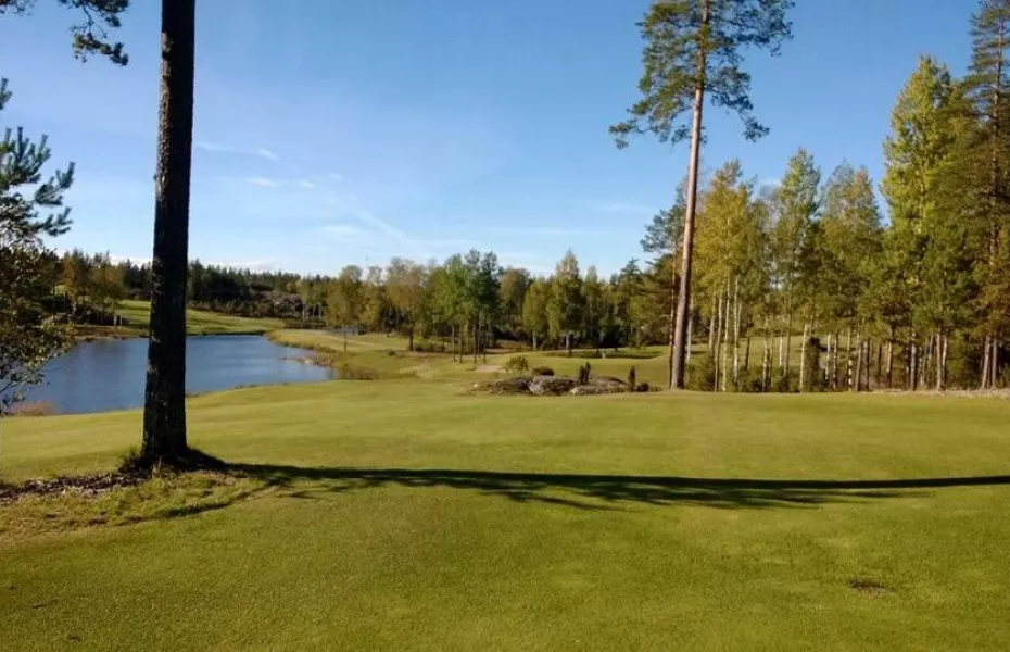 Eke Golf - Championship: #8