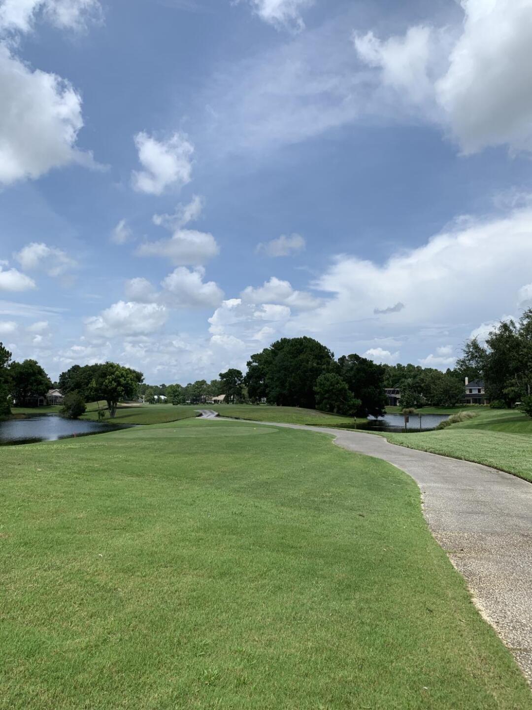 (Photo submitted by Tlm1407 on 07/08/2019)