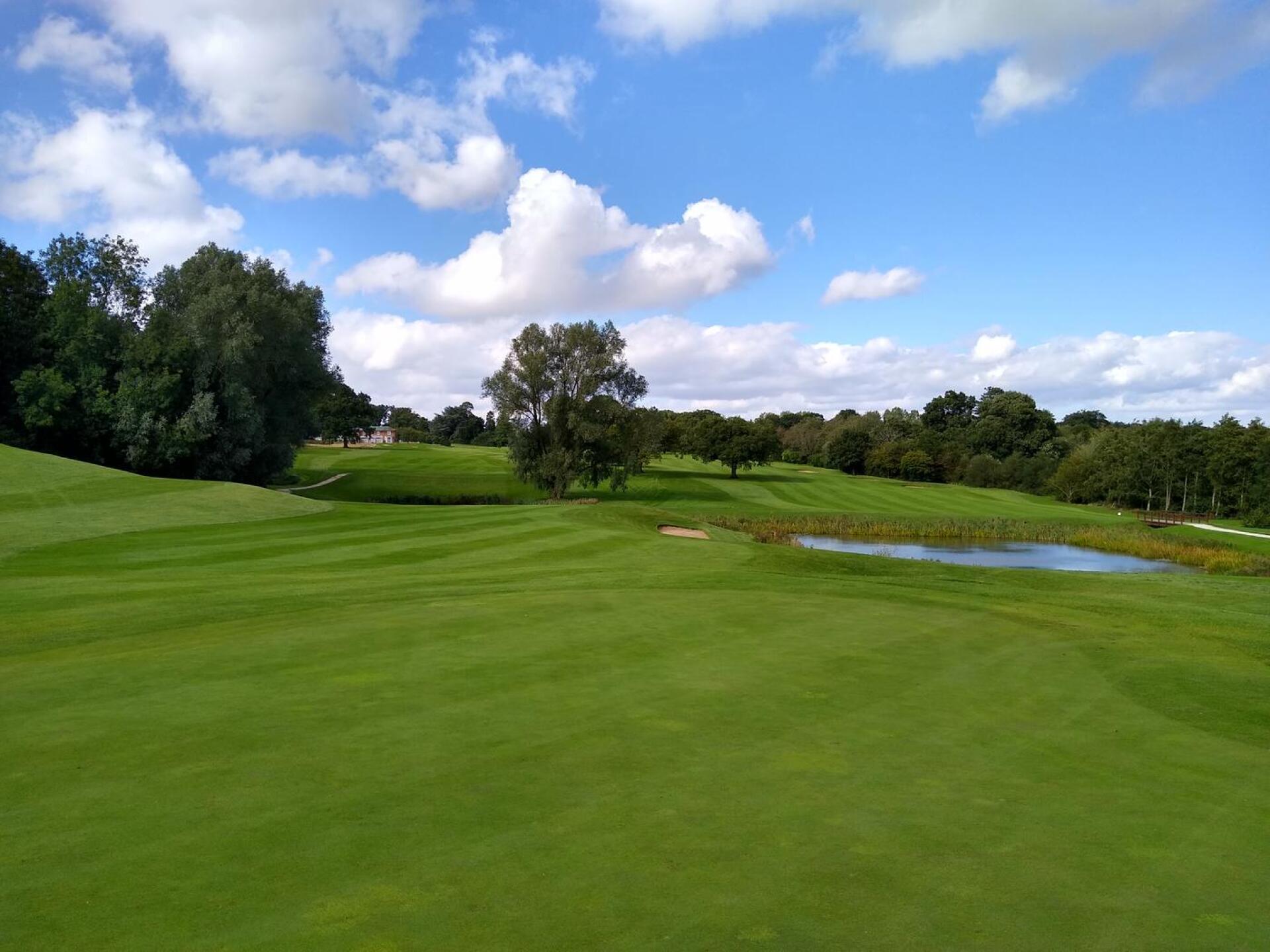 (Photo submitted by null on 09/03/2020)