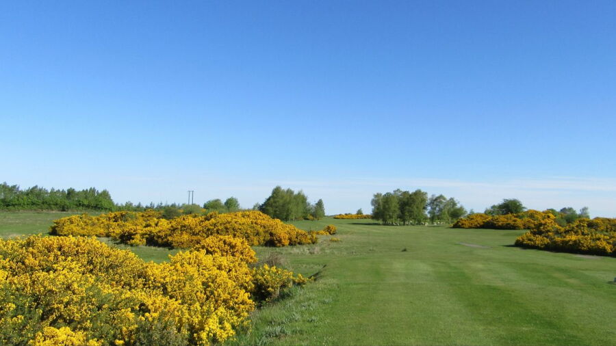 The Heath GC