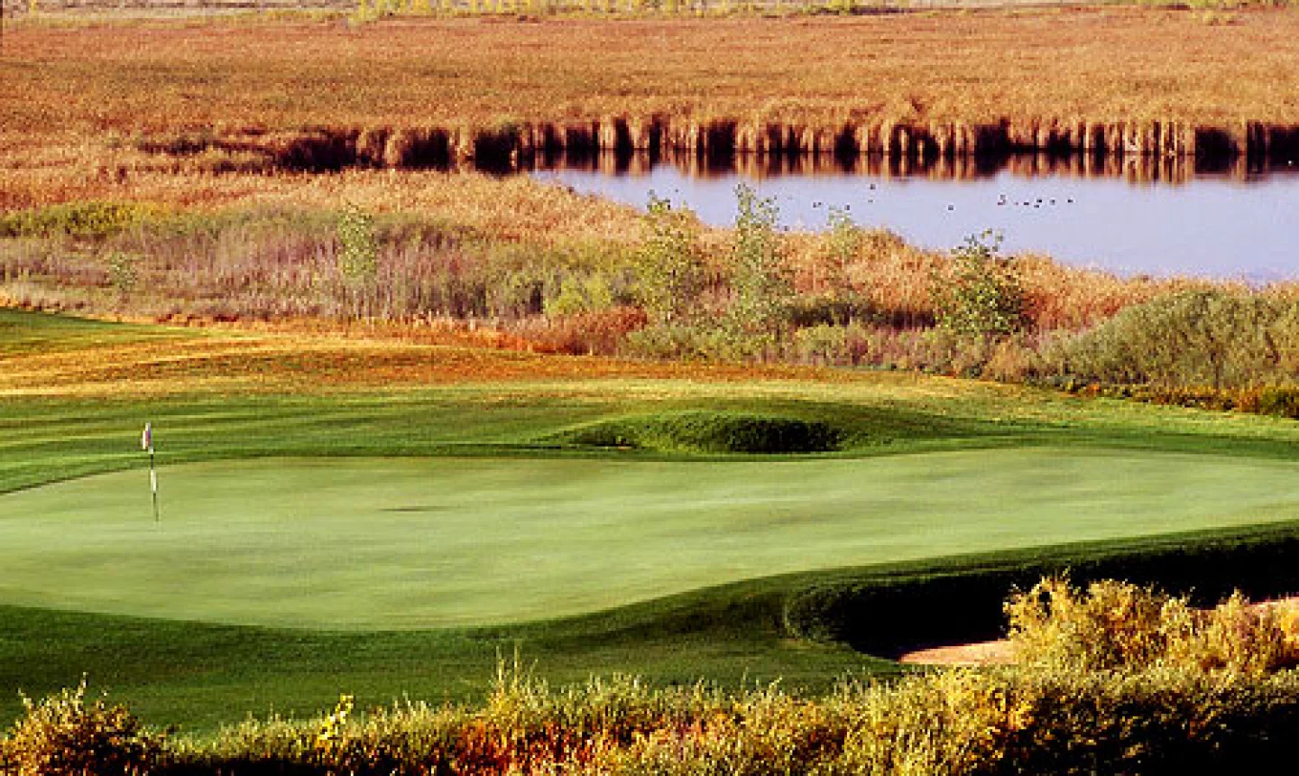 CommonGround Golf Course - No. 12 Green