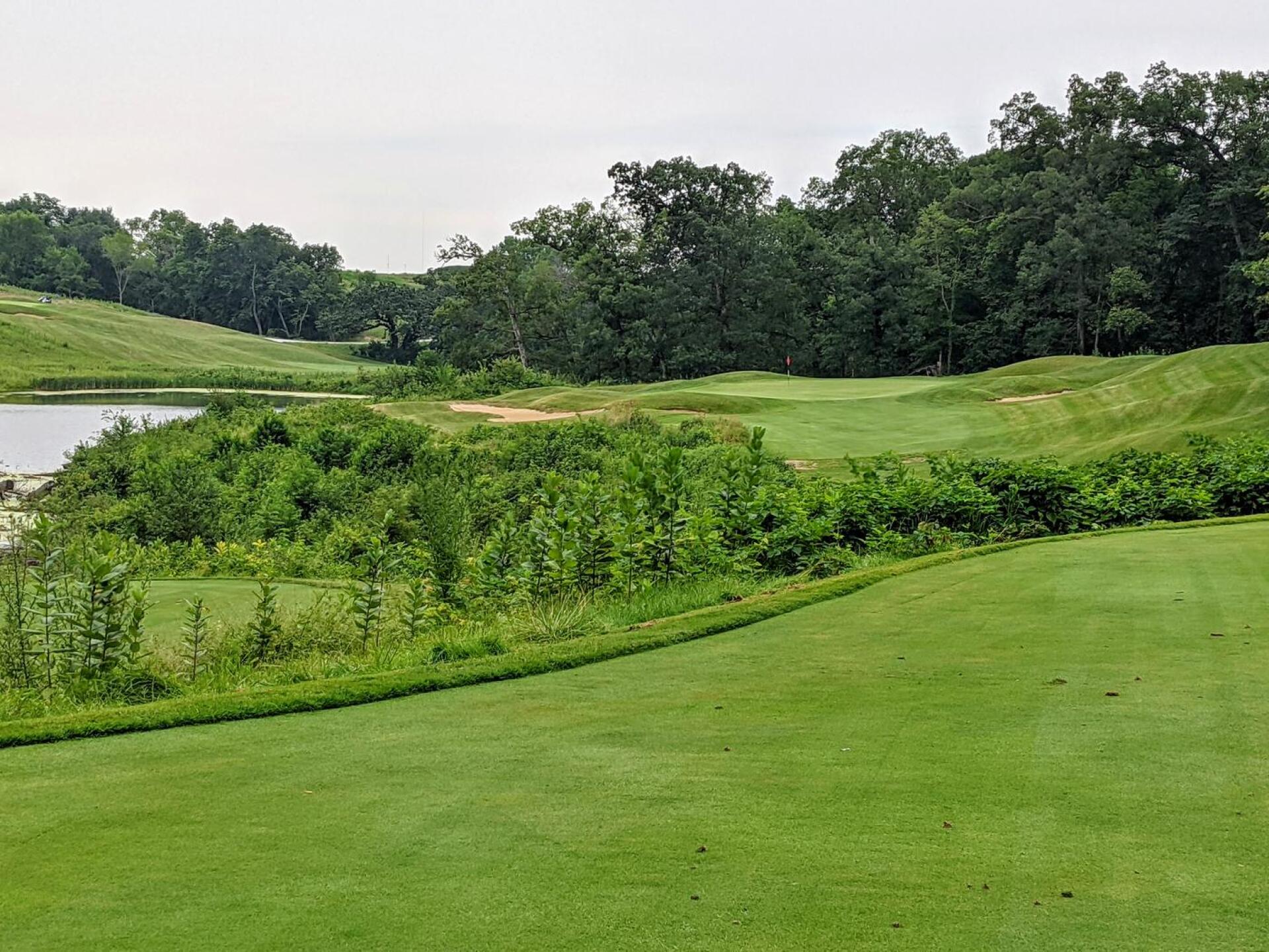 The long par 3 17th has been improved by tree removal opening up the lake view (Photo submitted by GolferJake78 on 07/30/2021)