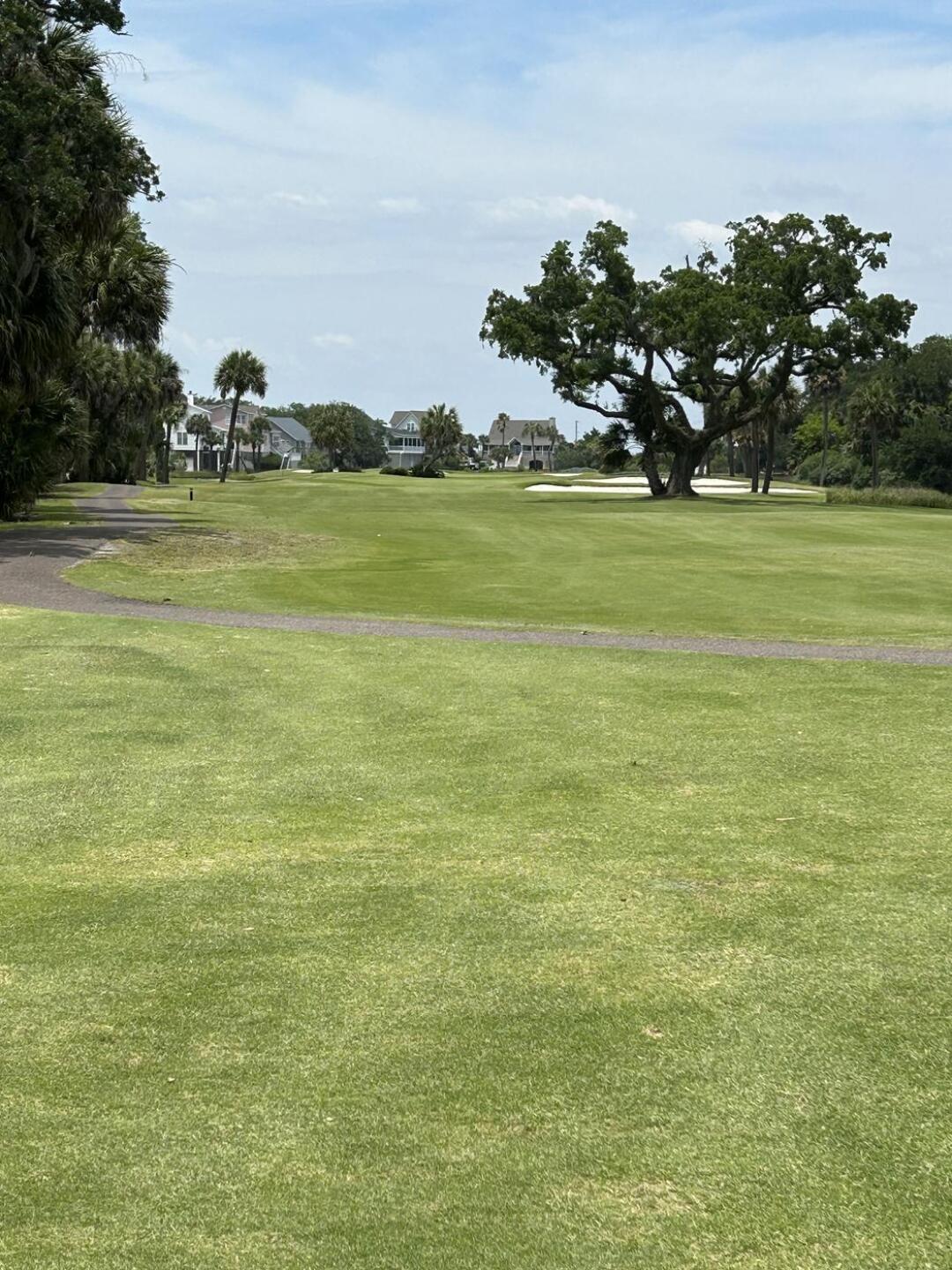 (Photo submitted by adaberne7 on 06/17/2023)