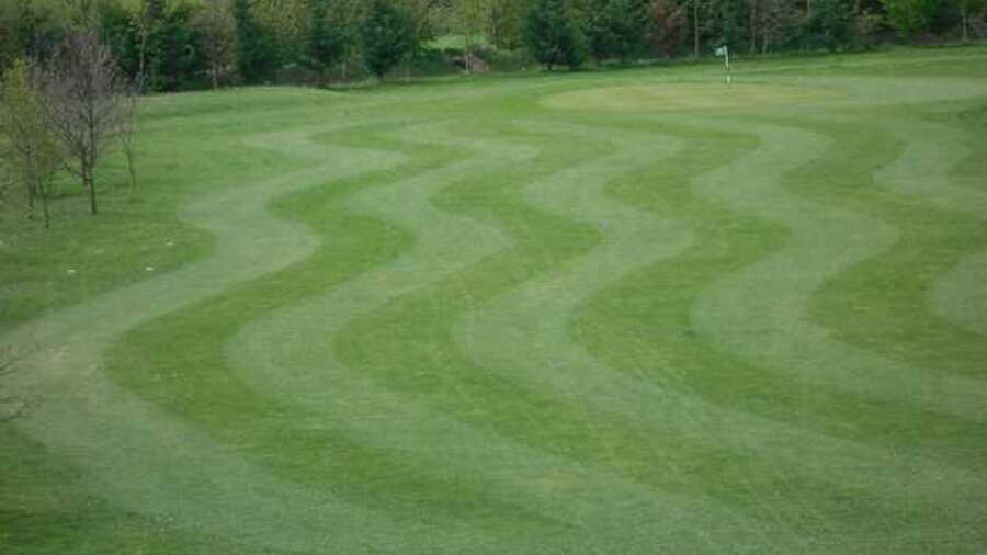 Tea Green GC: #7