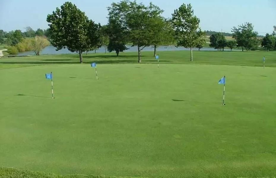 Smiley's Executive GC: Puttin green