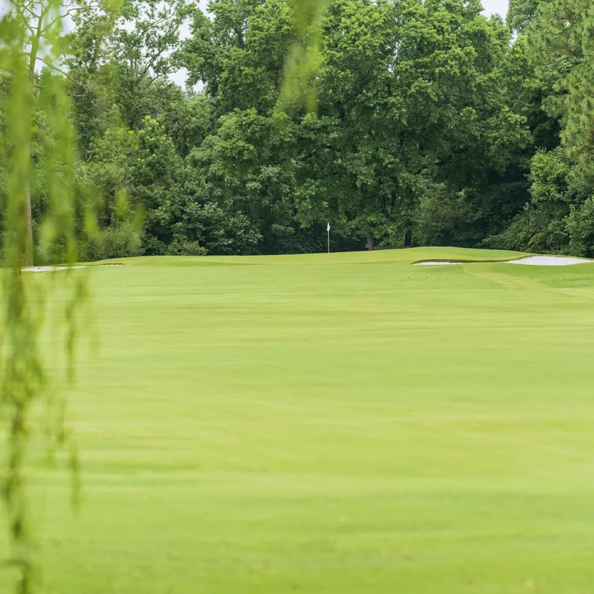 Pine Valley Country Club in Wilmington, North Carolina, USA GolfPass