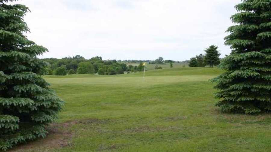 Island Pine GC: #9