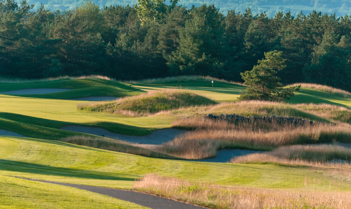 Osprey Valley - Heathlands golf course - no. 5