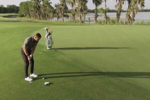 Around The Green – Best Options