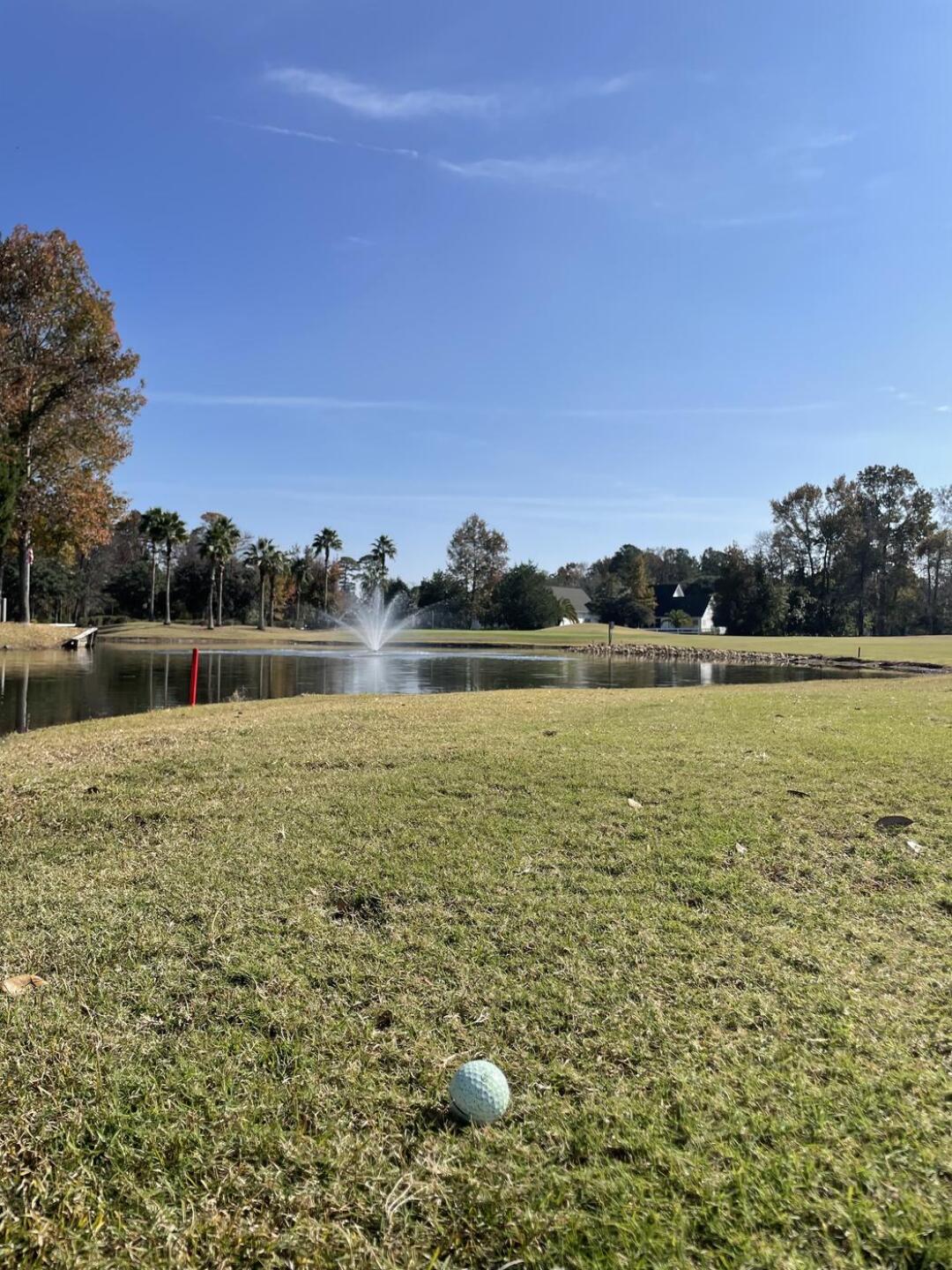 (Photo submitted by PatrickGooge904 on 11/22/2025)