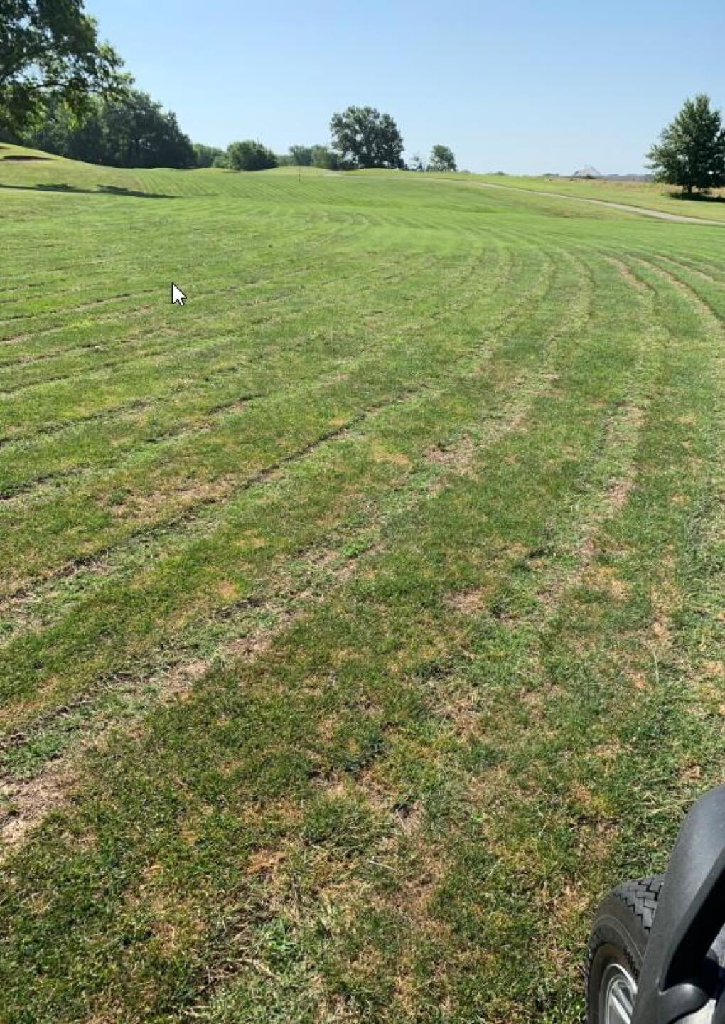 (Photo submitted by u000008123619 on 06/30/2019)