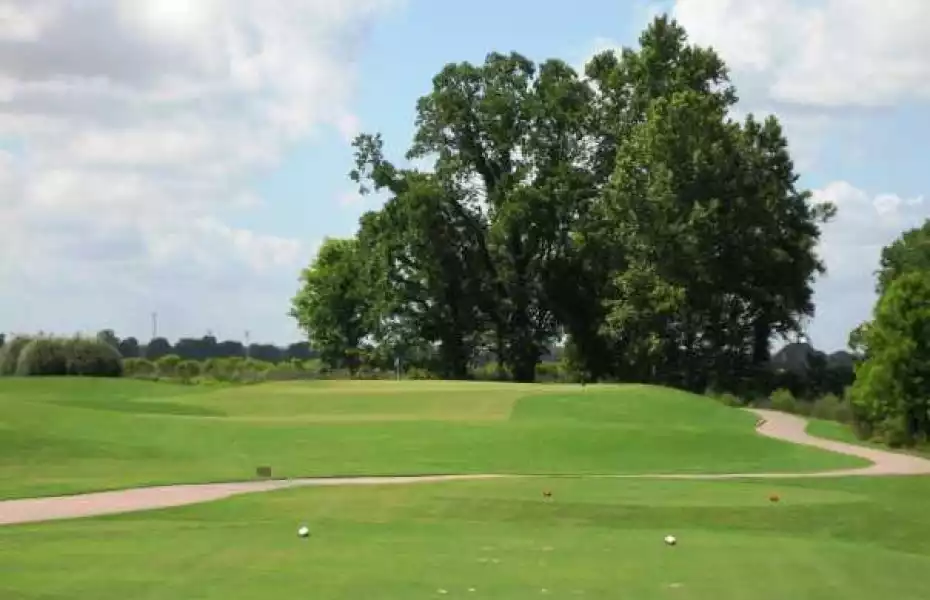 Links on the Bayou: #14