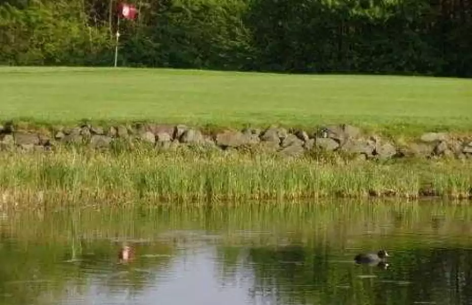 Gelsenkirchener GC Haus Leythe: #8