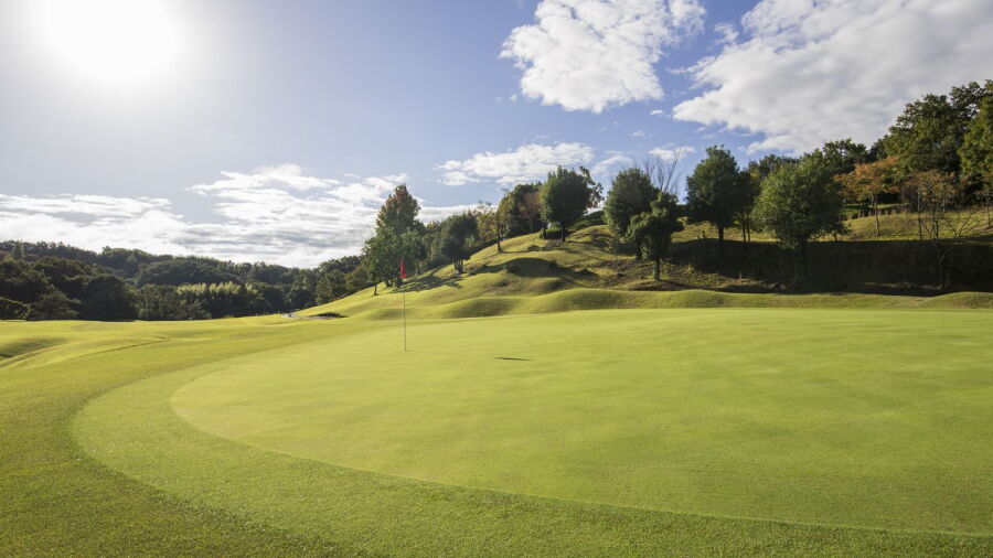 Hosenbo GC: #4