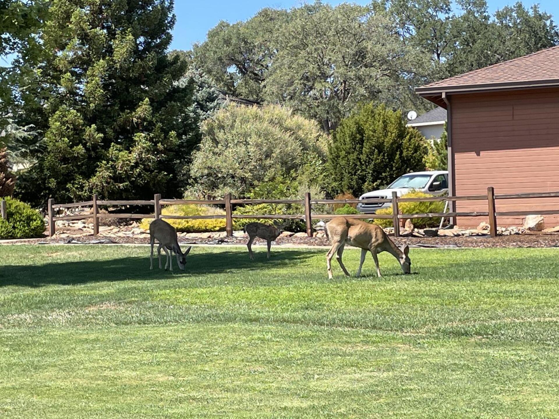 (Photo submitted by cjsette on 08/19/2022)