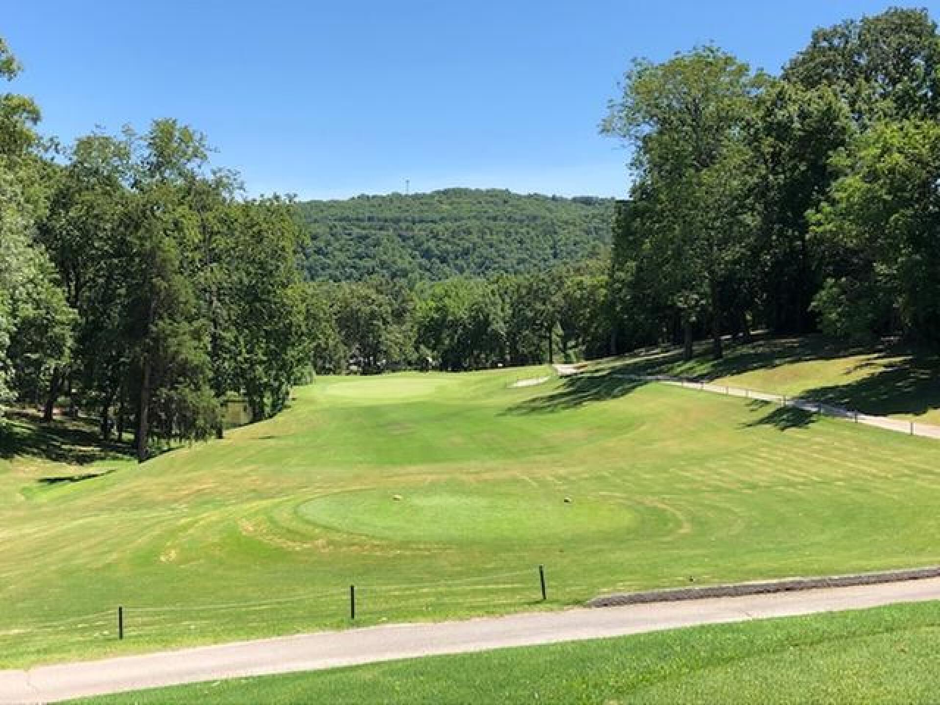 Par 3 8th 180 yds (Photo submitted by gomarkt on 07/13/2020)