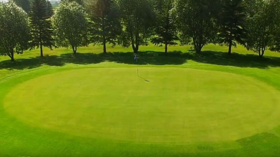 Castor GC: #1