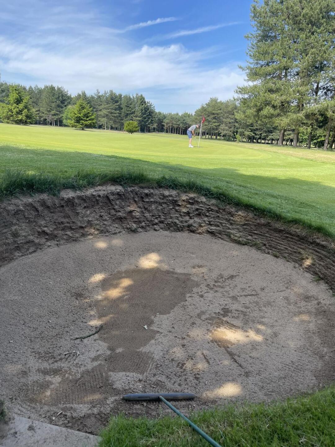 (Photo submitted by rossangeles on 06/17/2022)